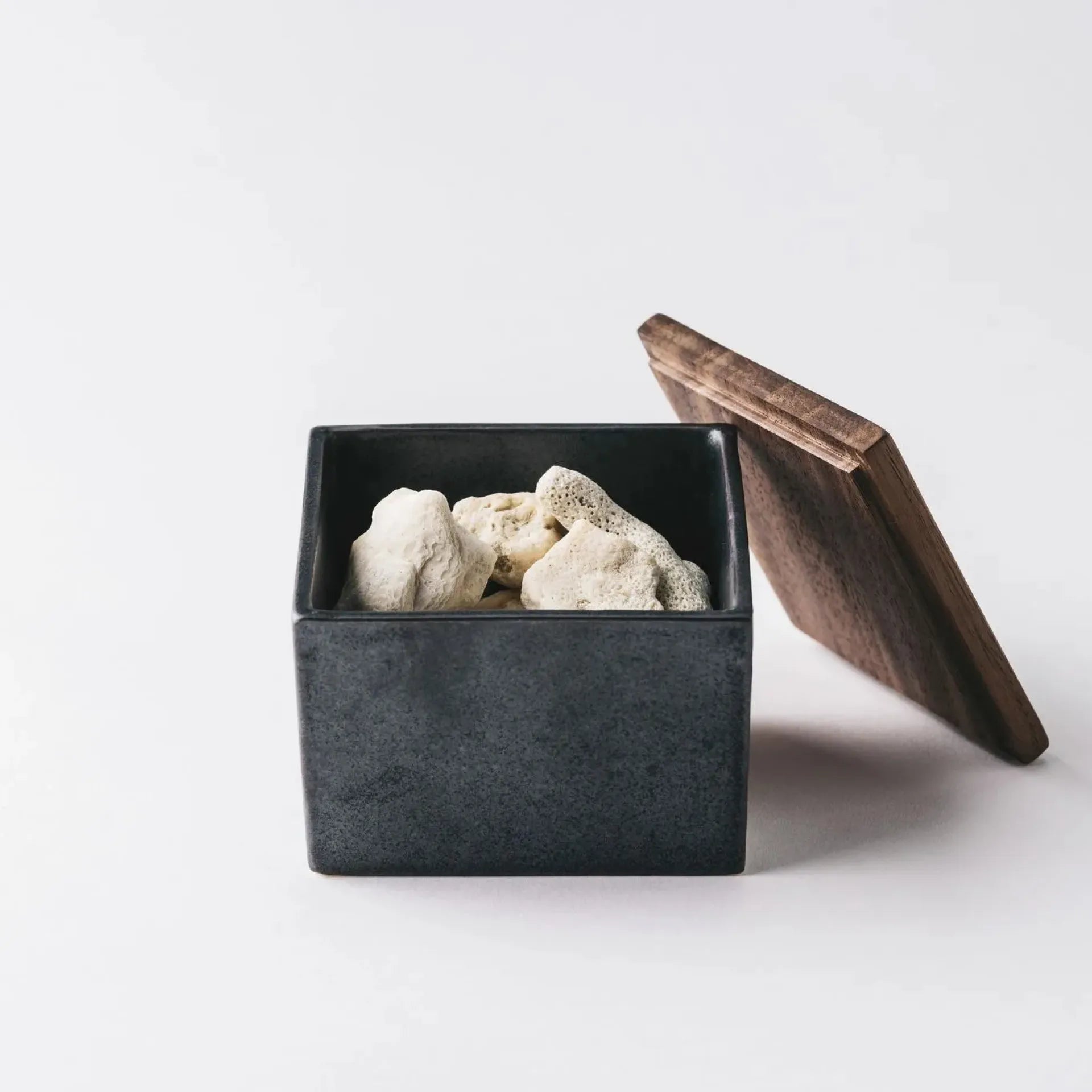 珊瑚ディフューザー | Coral Diffuser