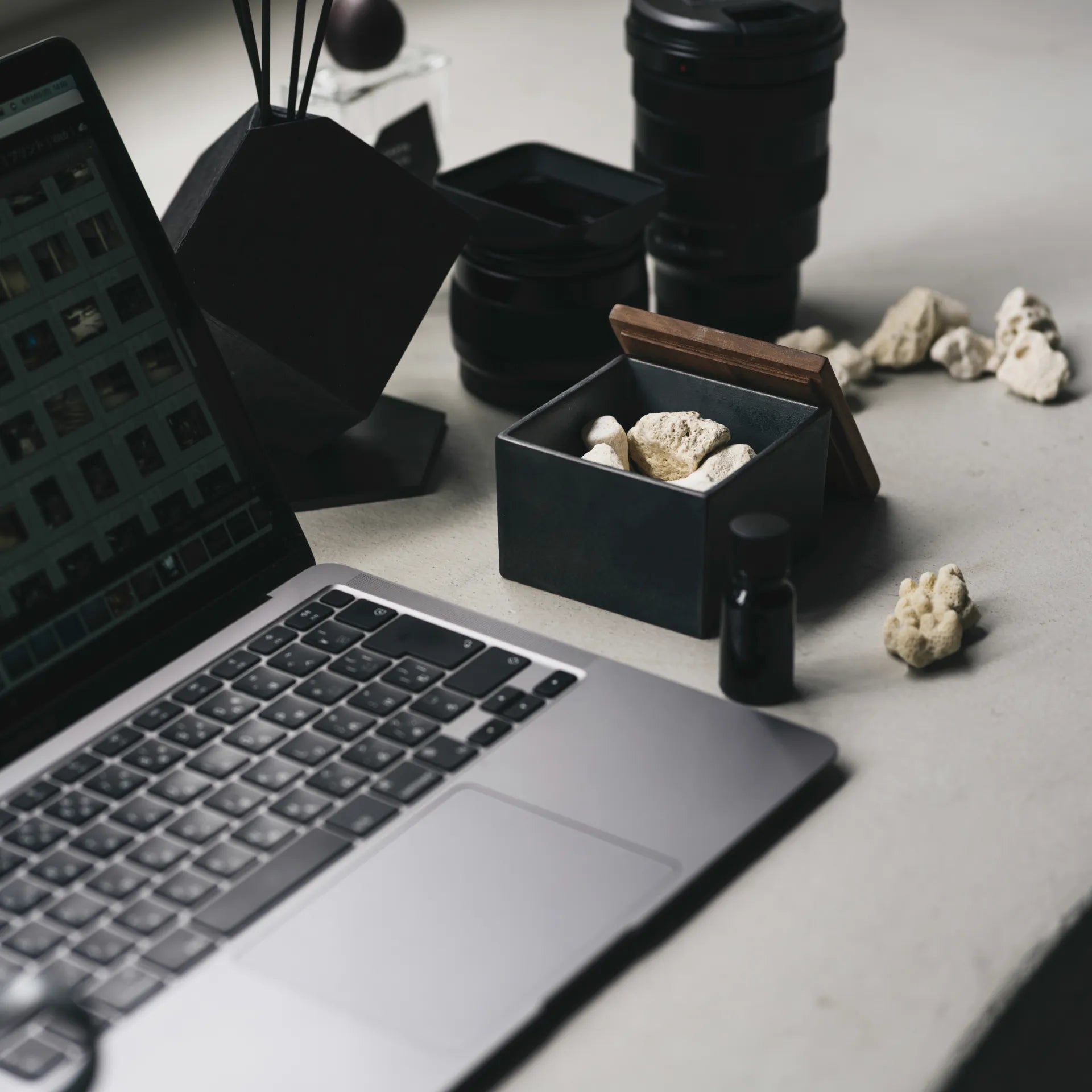 珊瑚ディフューザー | Coral Diffuser