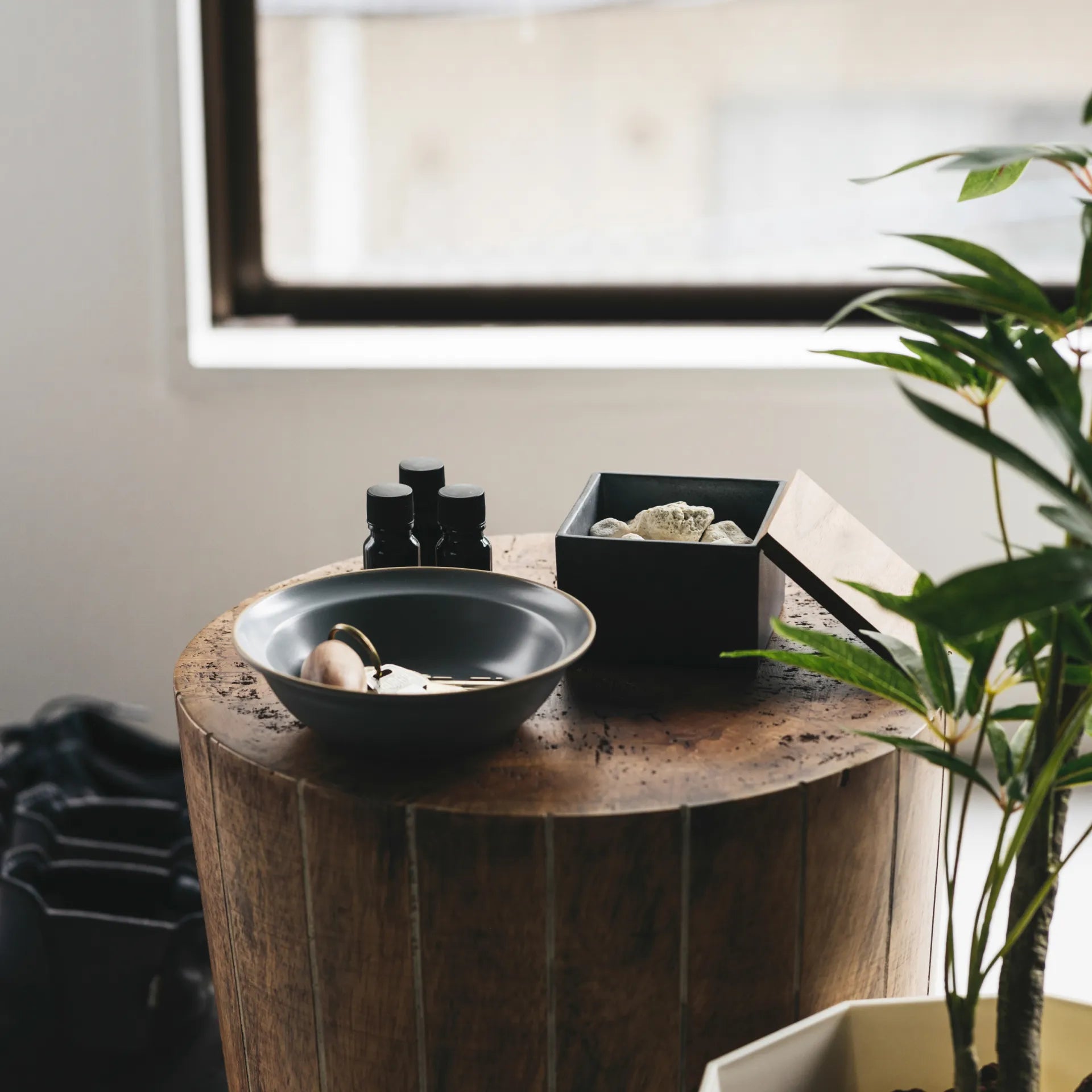 珊瑚ディフューザー | Coral Diffuser