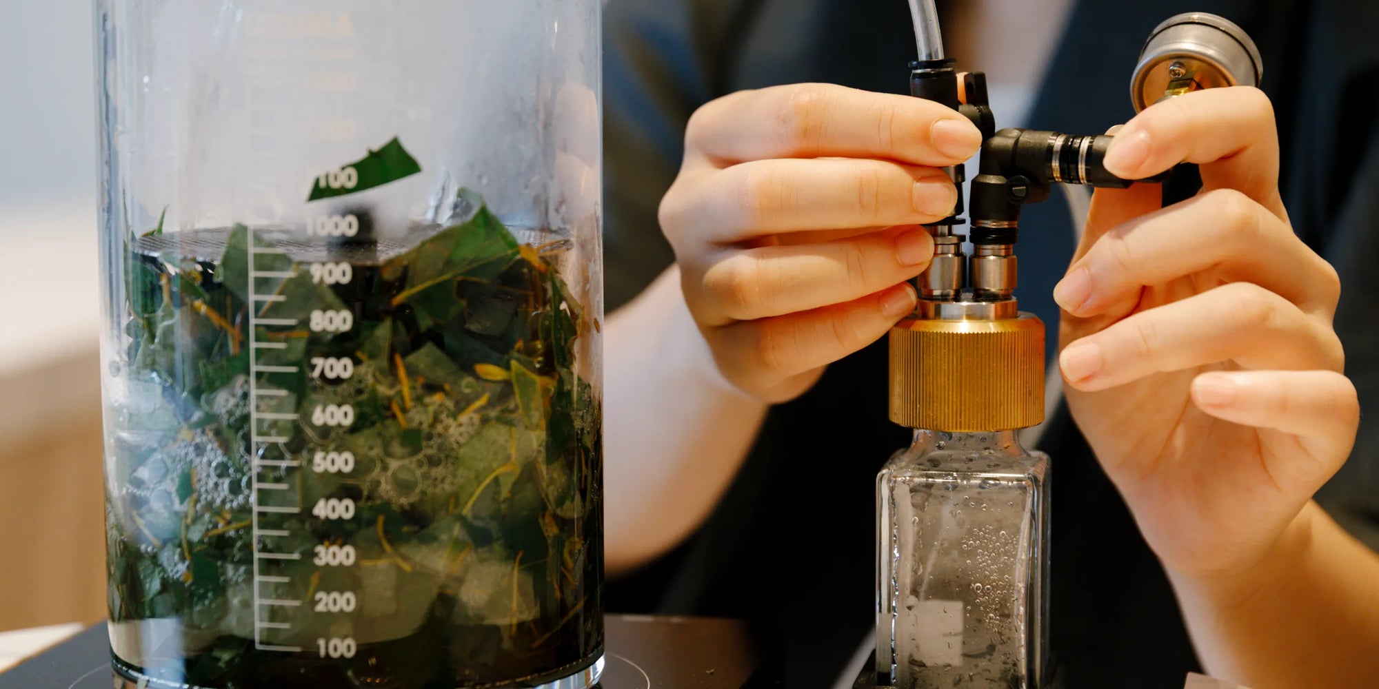 CARTA（カルタ） | 香りのおみやげ喫茶。
