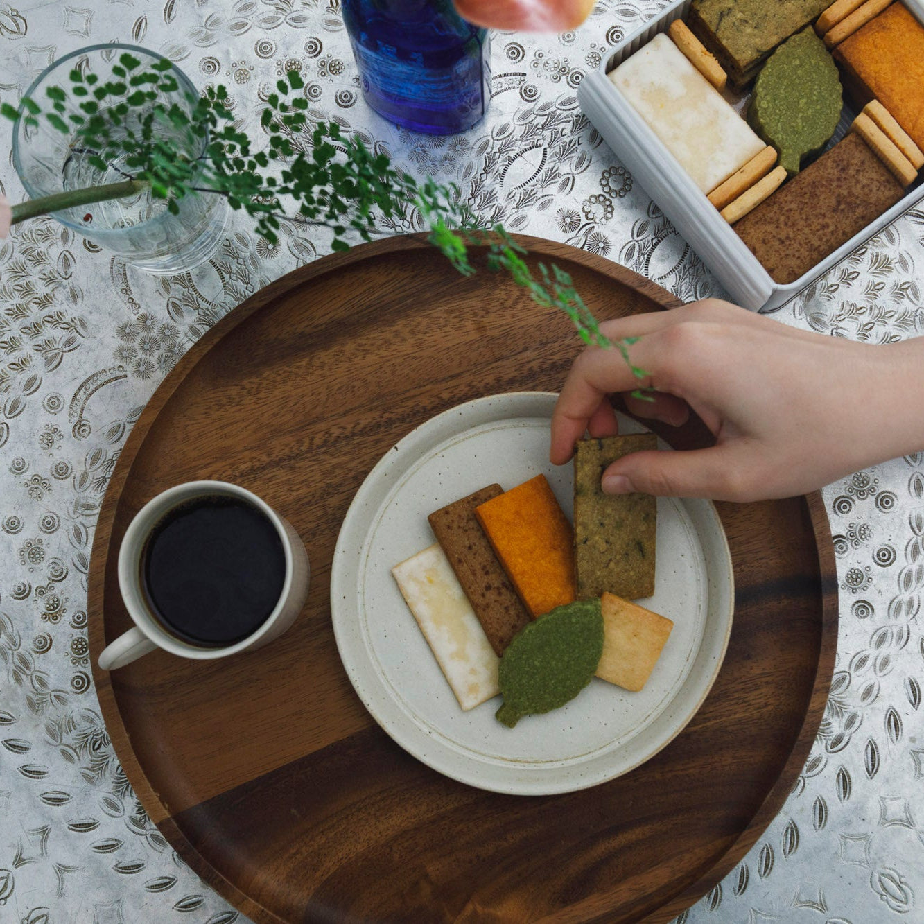 【数量限定】キュウシュウクッキー缶 | Kyushu Cookie Assortment