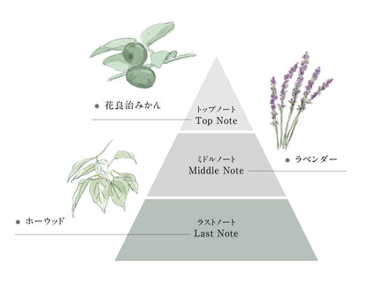 エッセンシャルオイル | Essential Oil