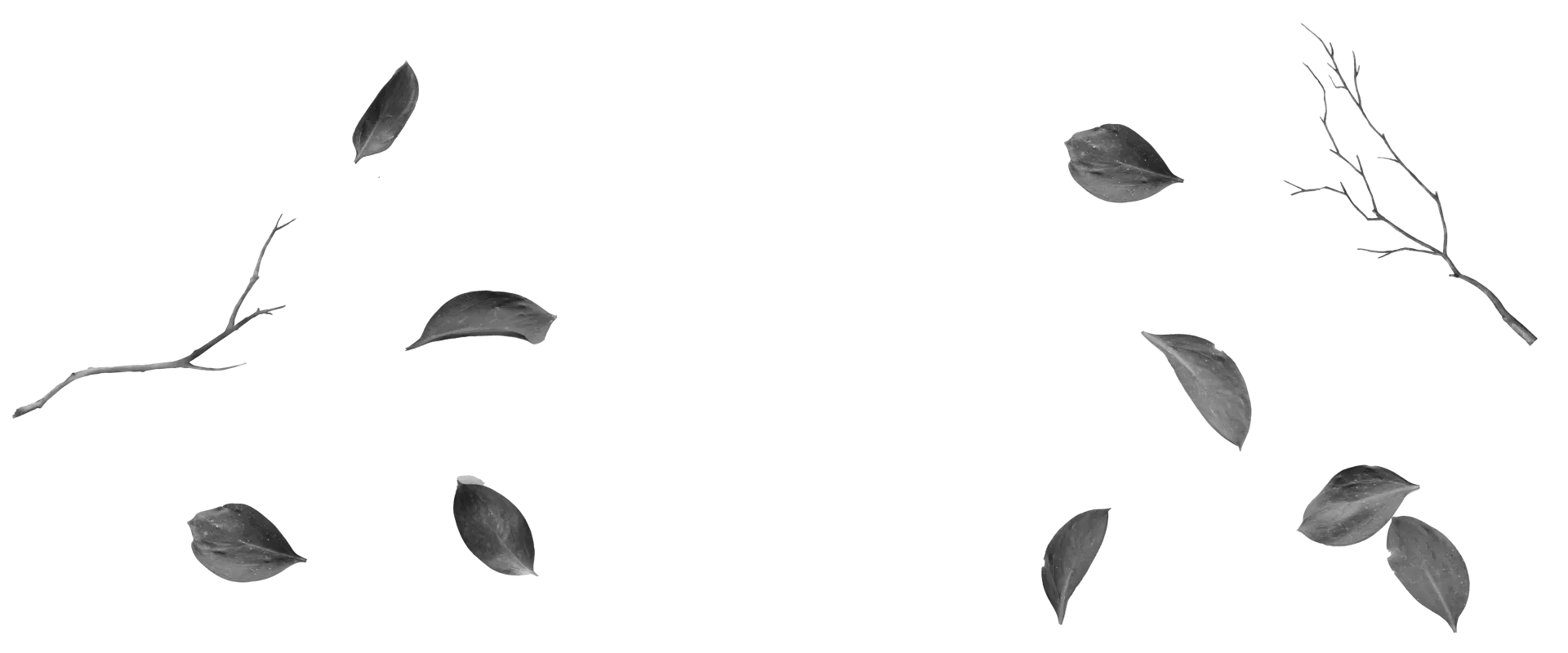 CARTA