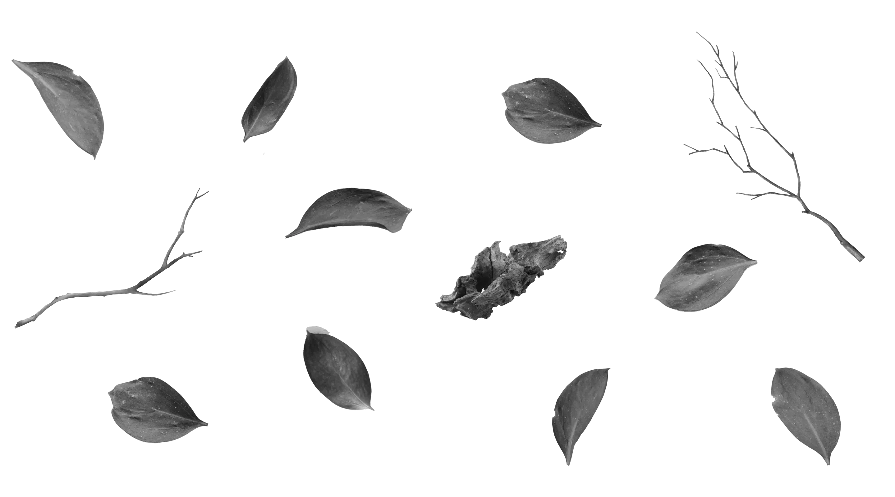 CARTA
